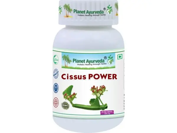 Cissus Power Kapsuly Planet Ayurveda