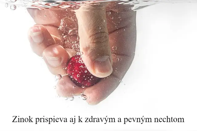 Zinok a jeho význam pre zdravie 1 zinok 3