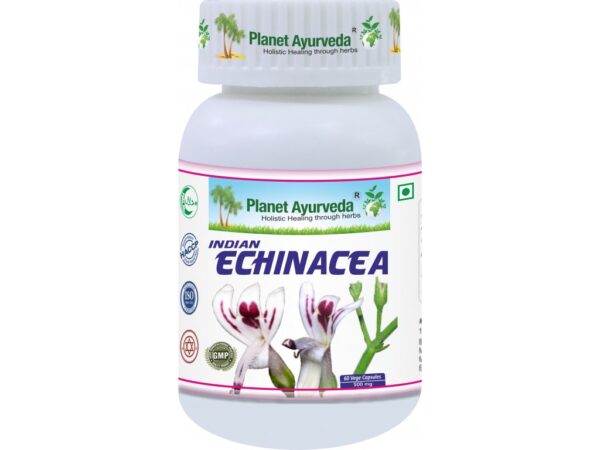 Indická Echinacea (Právenka latnatá) Planet Ayurveda