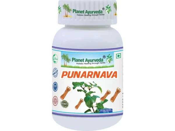 punarnava